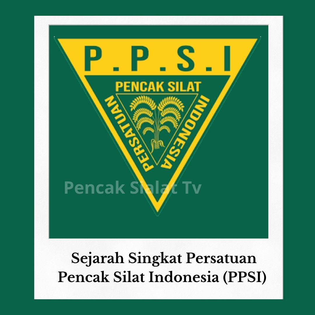 Sejarah Singkat Persatuan Pencak Silat Indonesia (PPSI)
